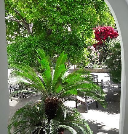 Back To Sorrento Bed and Breakfast Sant'Agnello Exteriör bild